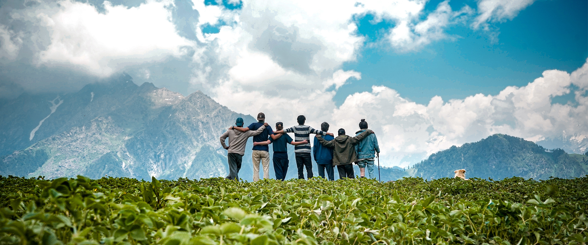 dreamhimalaytourandtravels