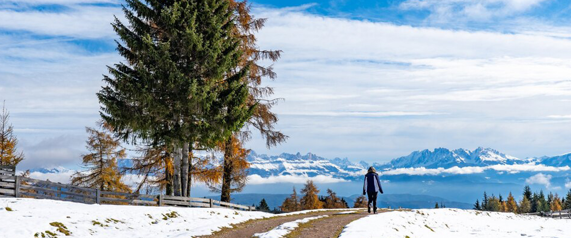 dreamhimalaytourandtravels